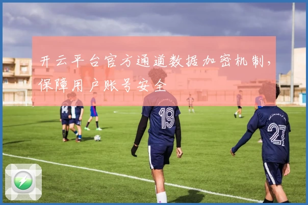 开云平台官方通道数据加密机制，保障用户账号安全