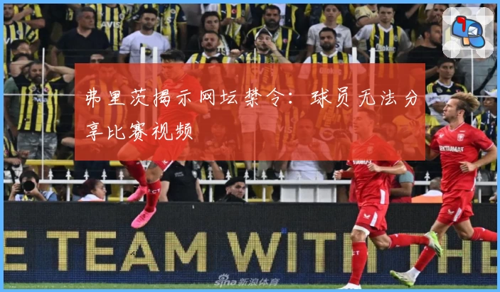 弗里茨揭示网坛禁令：球员无法分享比赛视频