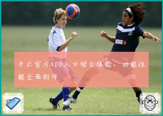 开云官方app入口综合体验，功能性能全面测评