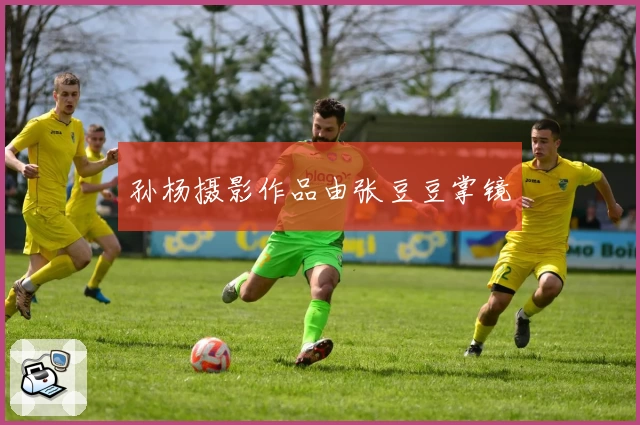 孙杨摄影作品由张豆豆掌镜