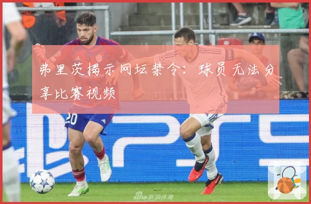 弗里茨揭示网坛禁令：球员无法分享比赛视频