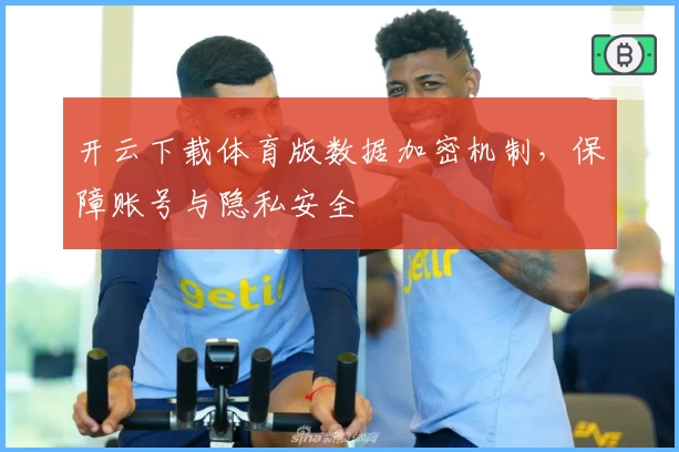 开云下载体育版数据加密机制，保障账号与隐私安全