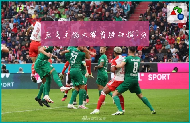 蓝鸟主场大赛首胜狂揽9分